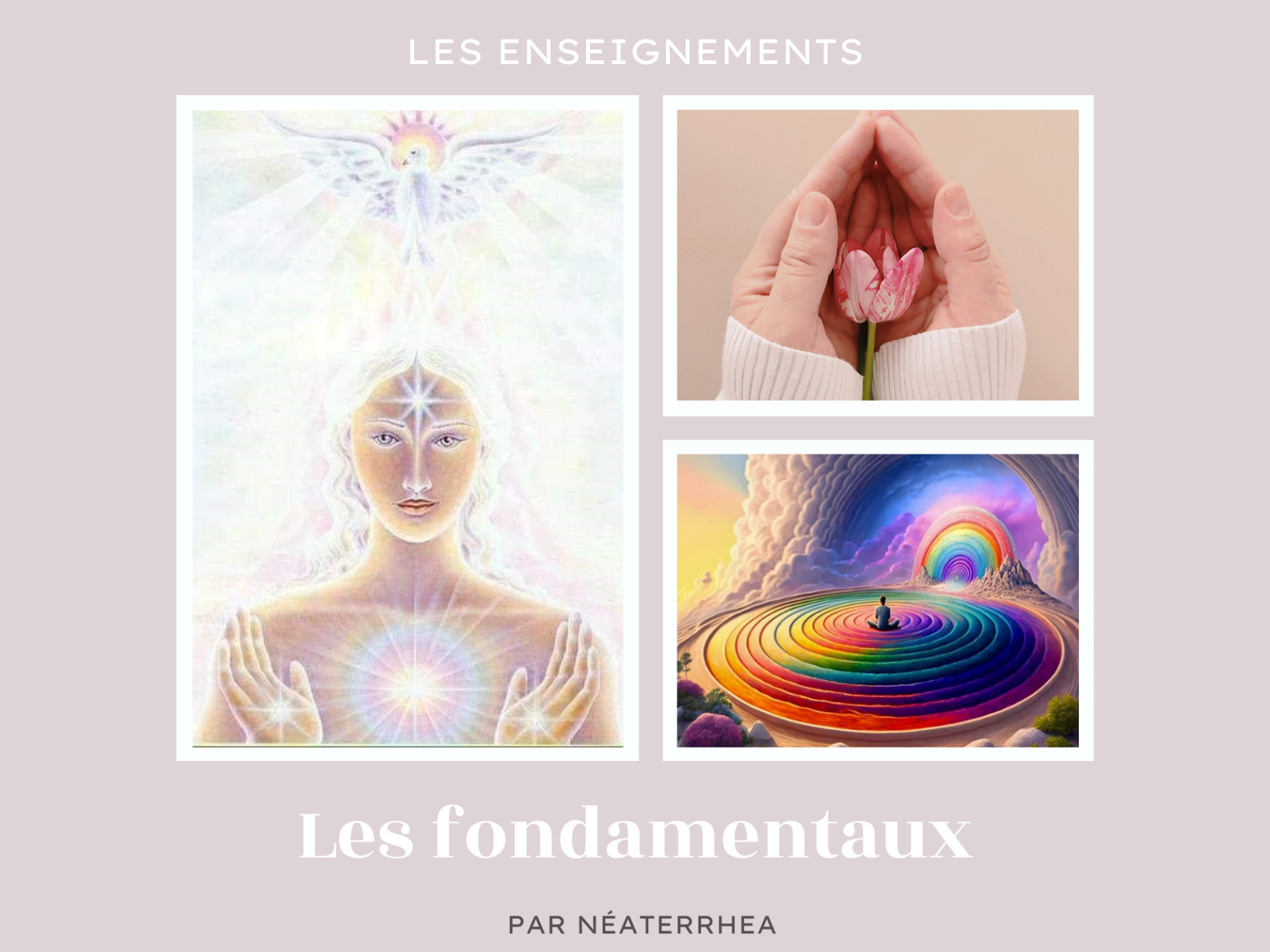 les fondamentaux